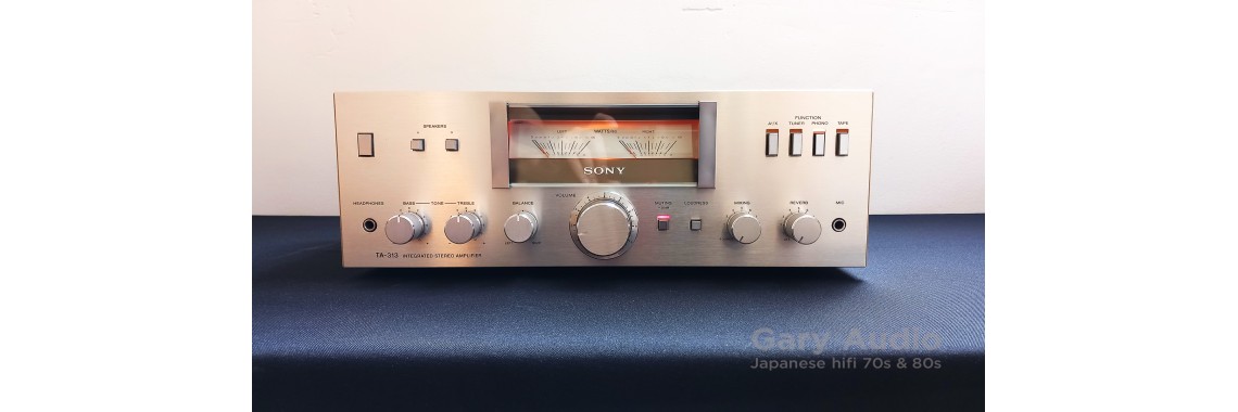 Sony TA-313